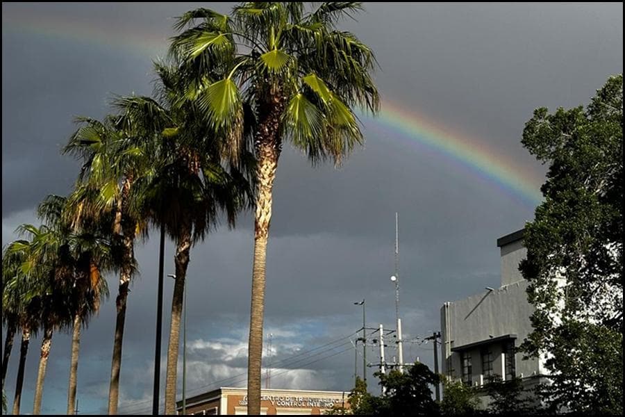 Instalaciones TN University exterior